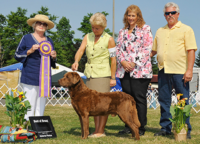 MBISS. GCH. Desert Winds Moroccan Sand Jake