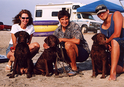 Puppies at fiestaisland